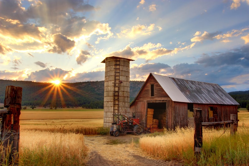 Farm Lands